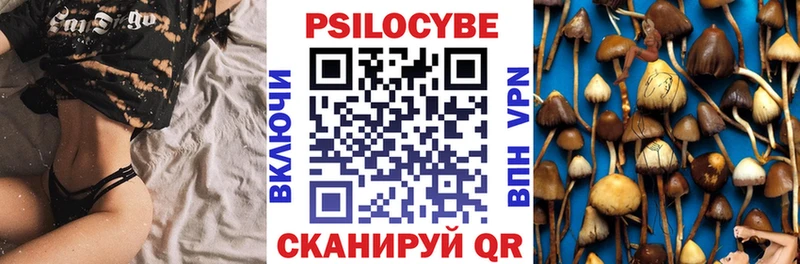Галлюциногенные грибы Psilocybe  Богданович 